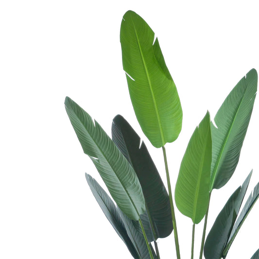 Banano Artificiale in Vaso – Pianta Decorativa Realistica H235 cm per Interni