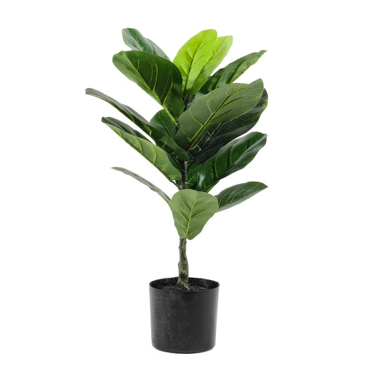 Ficus Artificiale in Vaso – Altezza 58 cm – Pianta Decorativa Realistica per Interni