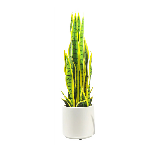 Pianta Artificiale Sanseveria 70 cm con Vaso Bianco – Foglie Realistiche in Polietilene, Design Moderno