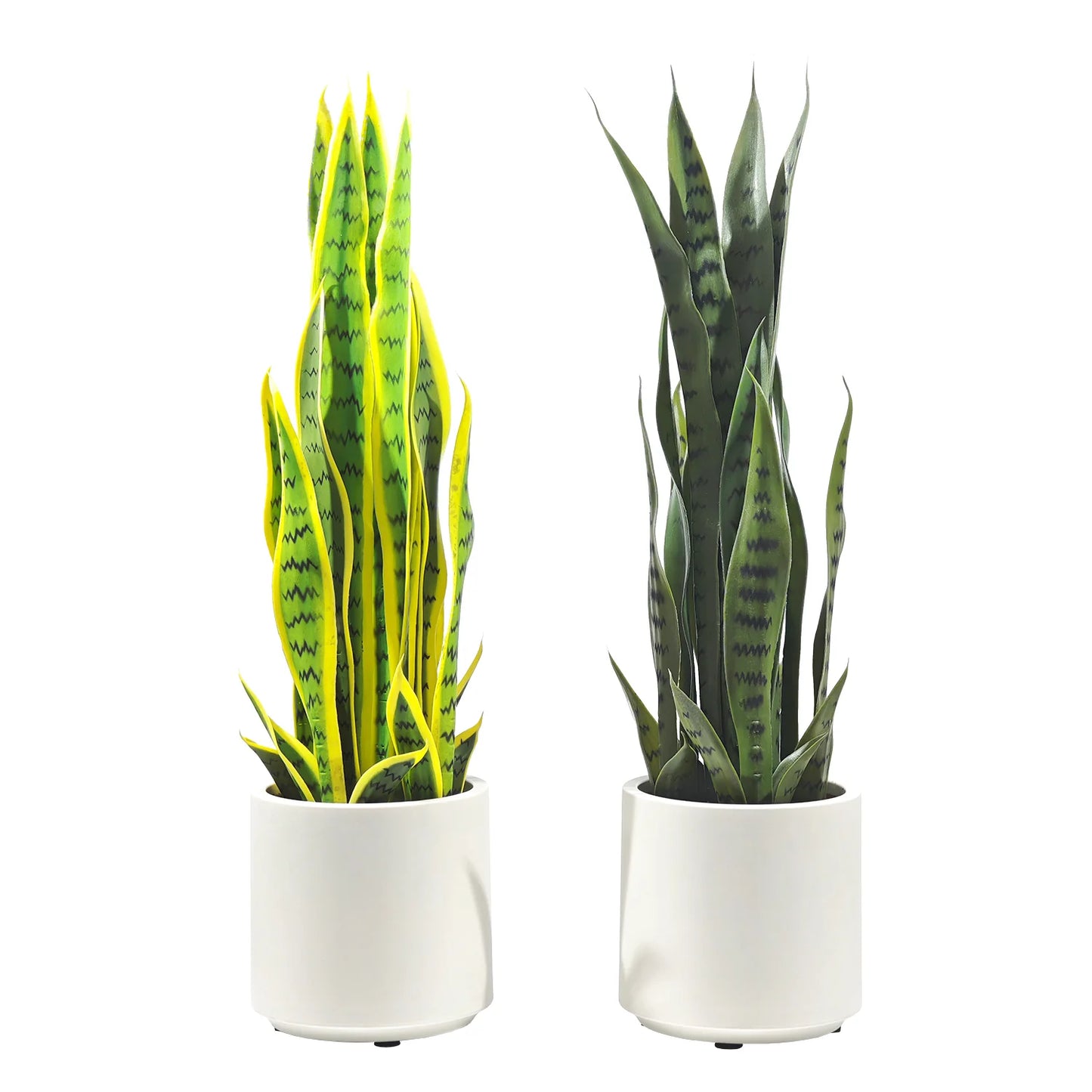Pianta Artificiale Sanseveria 70 cm con Vaso Bianco – Foglie Realistiche in Polietilene, Design Moderno