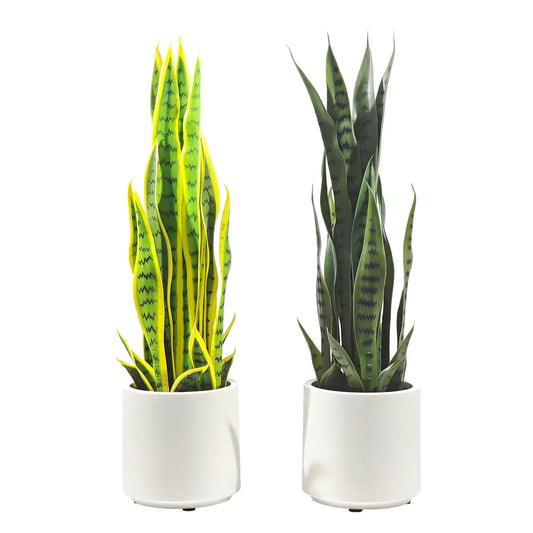 Pianta Artificiale Sanseveria 70 cm con Vaso Bianco – Foglie Realistiche in Polietilene, Design Moderno