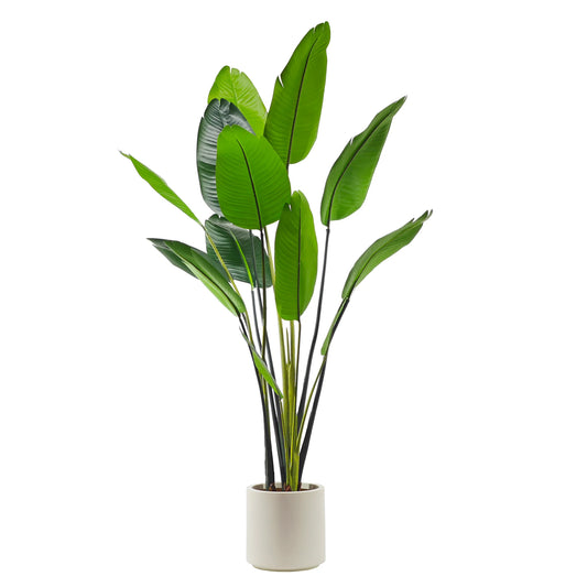 Pianta Artificiale Banano 180 cm con Vaso – Foglie Realistiche in Polietilene, Stile Tropicale