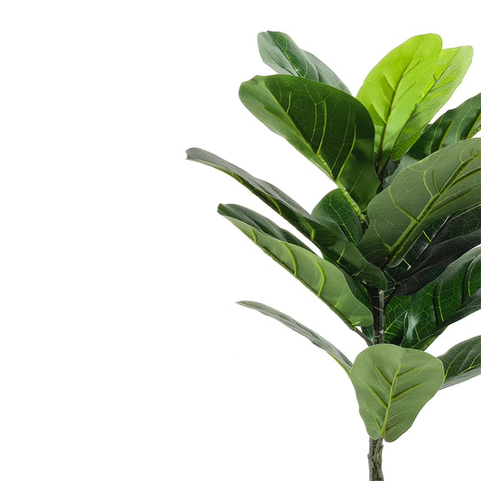 Ficus Artificiale in Vaso – Altezza 58 cm – Pianta Decorativa Realistica per Interni