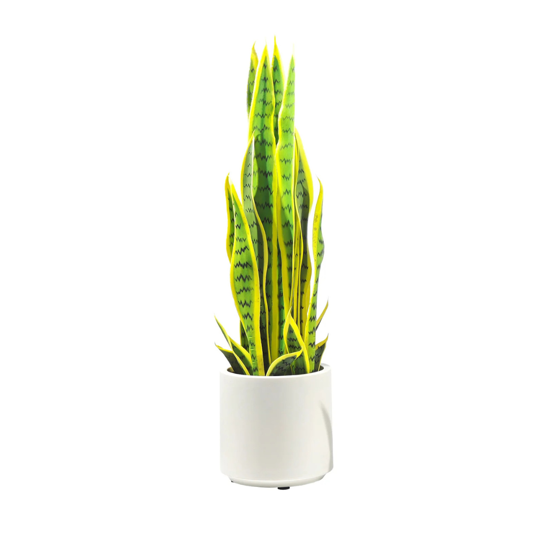 Pianta Artificiale Sanseveria 70 cm con Vaso Bianco – Foglie Realistiche in Polietilene, Design Moderno