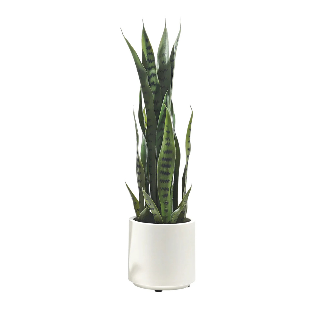 Pianta Artificiale Sanseveria 70 cm con Vaso Bianco – Foglie Realistiche in Polietilene, Design Moderno