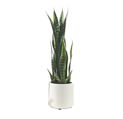 Pianta Artificiale Sanseveria 70 cm con Vaso Bianco – Foglie Realistiche in Polietilene, Design Moderno