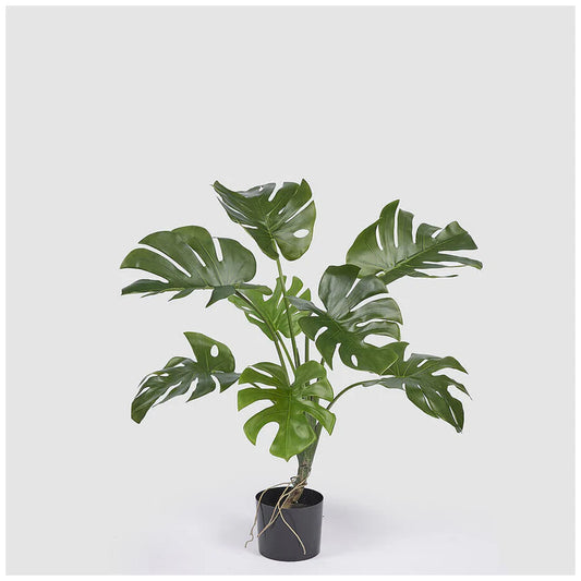 Pianta Artificiale Monstera EDG H100 cm con Vaso – Interno ed Esterno Verde Realistica